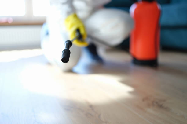 Environmental Consulting for Mold Prevention in Centre Hall, PA