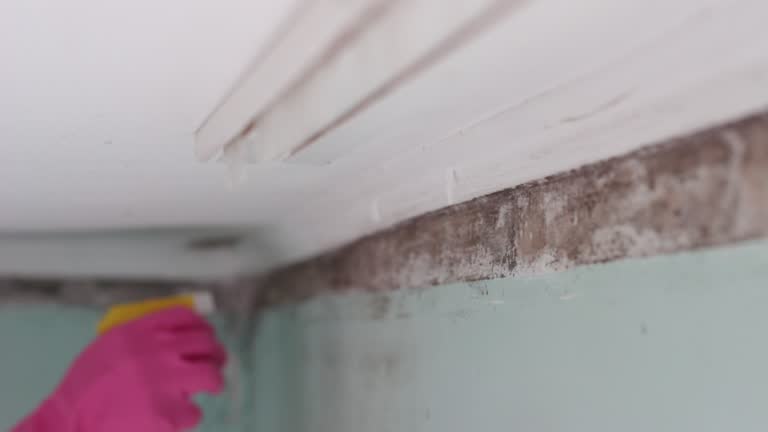 Best Dehumidification Services  in Centre Hall, PA